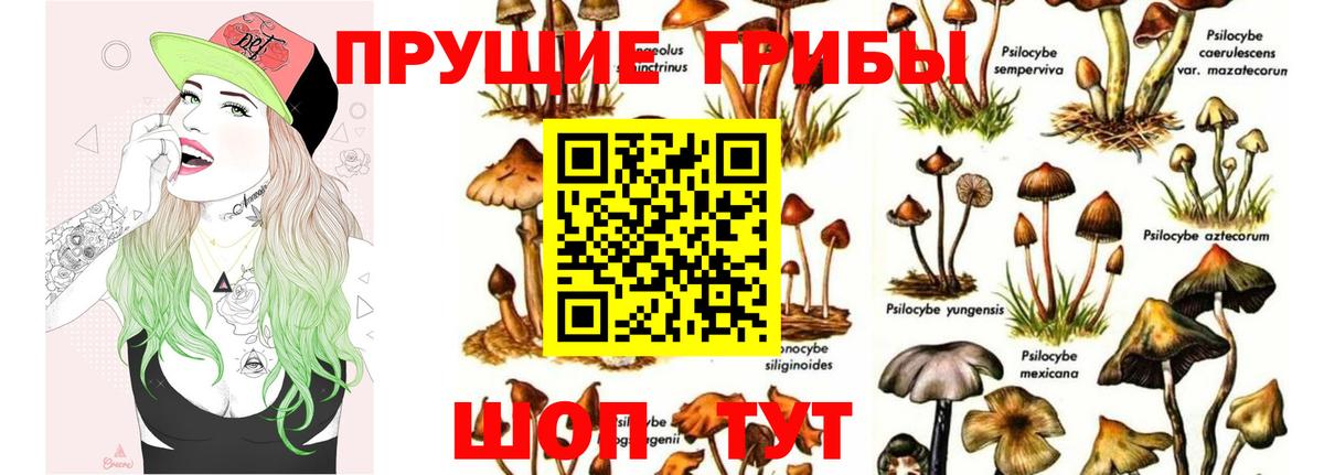 Галлюциногенные грибы GOLDEN TEACHER Реутов