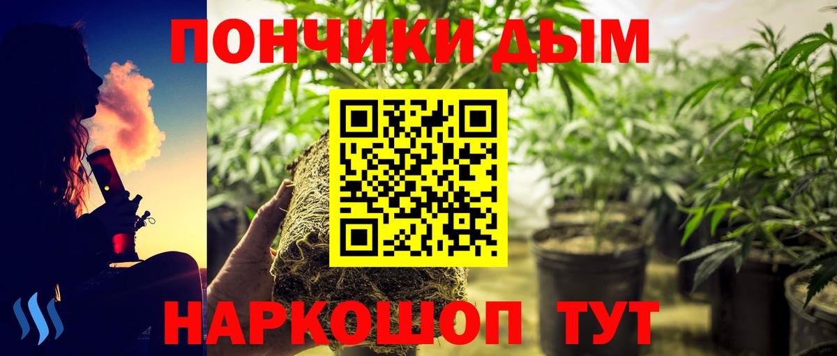Реутов  Марихуана Ganja  Шишки марихуана планчик  Вход с VPN  Каннабис планчик  Марихуана индика 